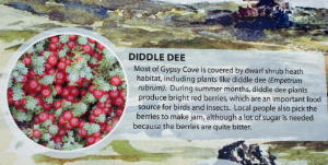 Sign about diddle Dee