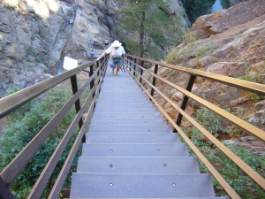 Barb Climbs 224 Stairs