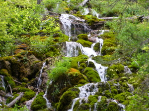 Waterfalls along trail