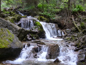 Waterfalls on trail
