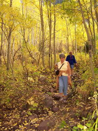 Darlene & Barb Hike the woods