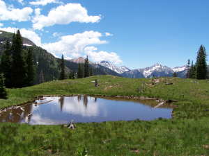 Mountain pond