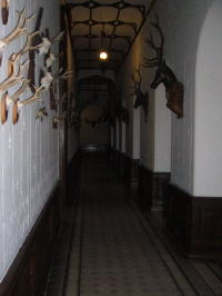 Hallway with Trophies