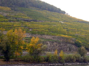 Terraces for Vineyards