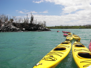 Kayaks await