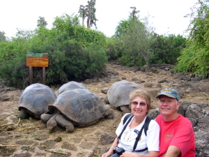 Carsons with Giant Tortoises
